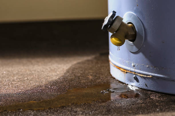 Best Commercial water damage restoration  in Stratford, NJ