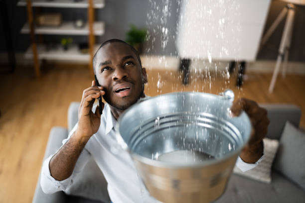 Best Local water damage restoration  in Stratford, NJ