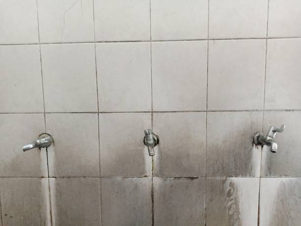 Best Water damage mitigation services  in Stratford, NJ