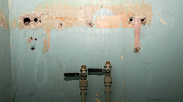 Best Flooded house restoration  in Stratford, NJ