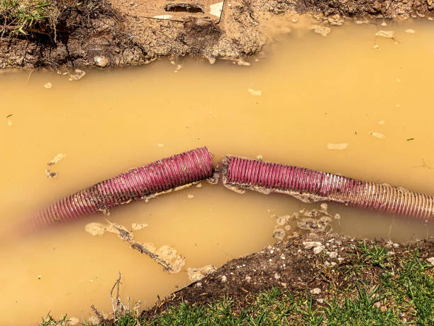 Best Water damage restoration near me  in Stratford, NJ