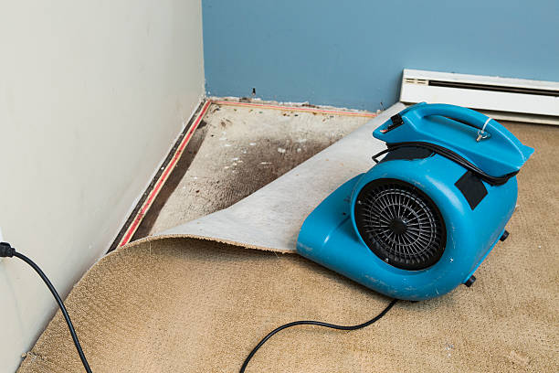 Best Ceiling water damage repair  in Stratford, NJ